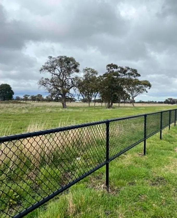 Black chain-mesh fence following a green rural landscape